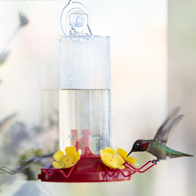 Bay Isle Home Elmsford Plastic Window Mount Nectar Hummingbird Feeder